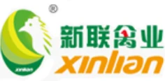 新联 新联